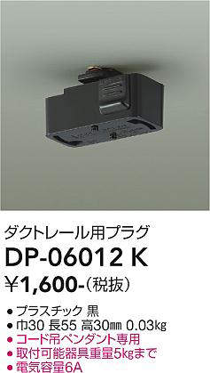 dp06012k