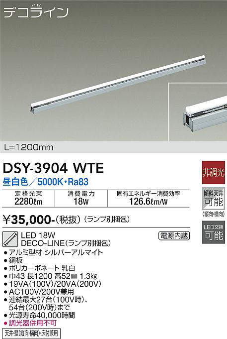 dsy3904wte