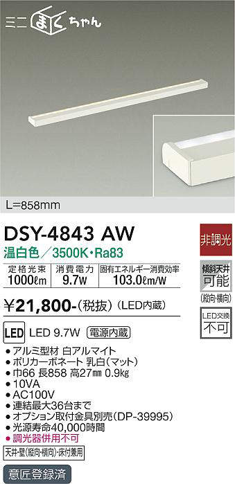 dsy4843aw