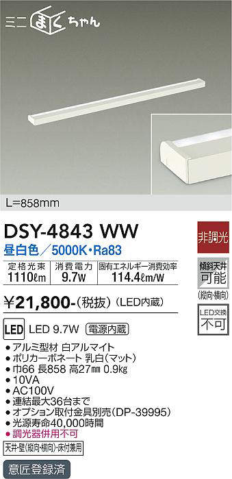 dsy4843ww