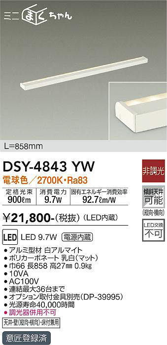 dsy4843yw