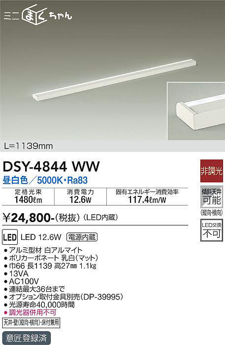 dsy4844ww