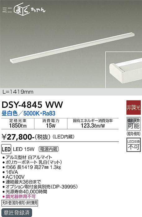 dsy4845ww