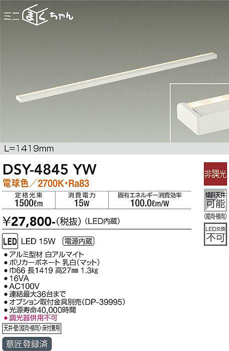 dsy4845yw