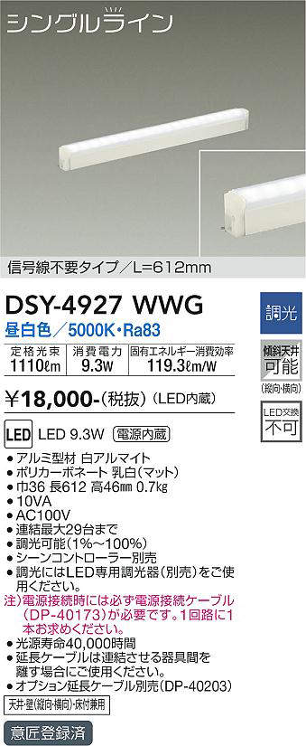 dsy4927wwg