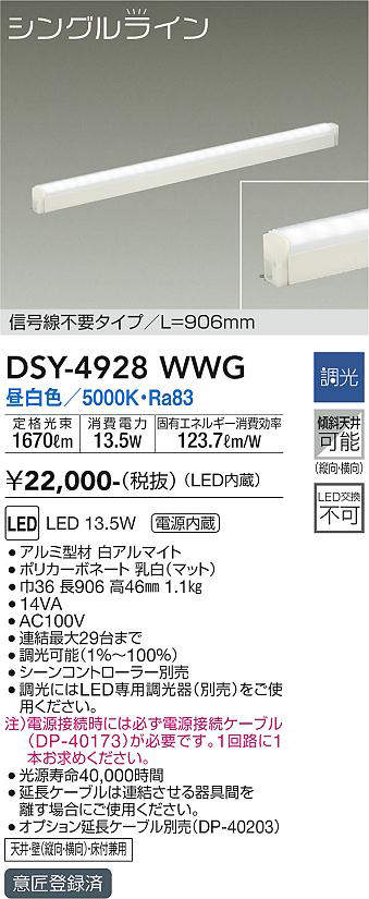 dsy4928wwg