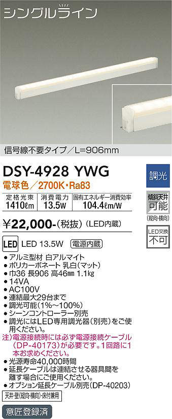 dsy4928ywg