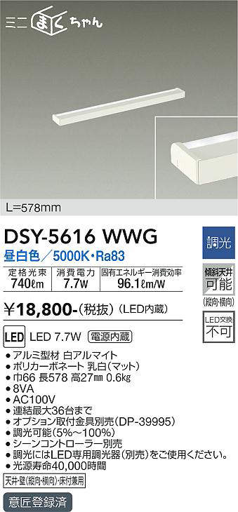 dsy5616wwg