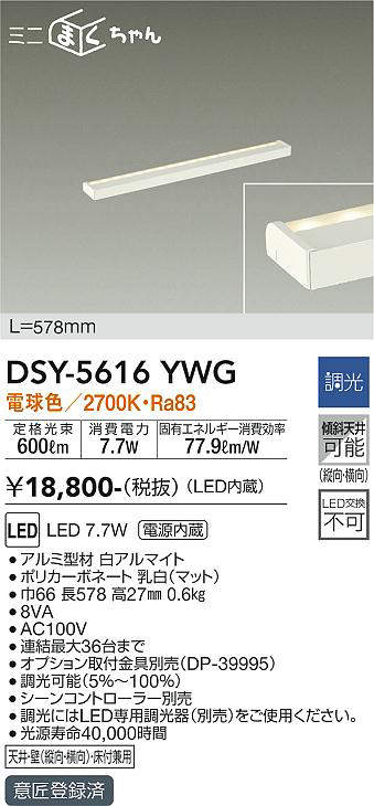 dsy5616ywg