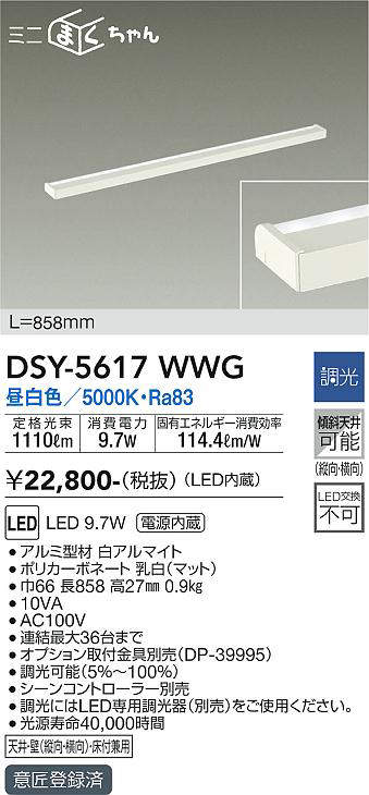 dsy5617wwg