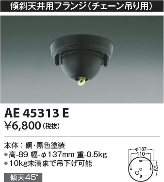 ae45313e